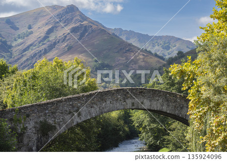 France, Pyrenees-Atlantiques, Saint-Etienne-de-Baigorry, the Roman bridge crossed by the Nive des France, Pyrenees-Atlantiques, Saint-Etienne-de-Baigorry, the Roman bridge crossed by the Nive des 135924096