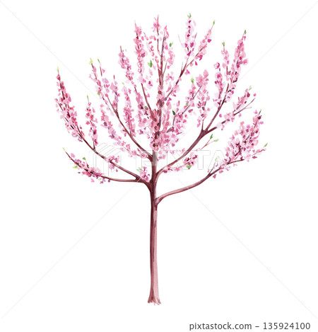 Blooming dog tree. Isolated watercolor illustration in a realistic style for postcards, interiors, packaging, merch, posters, and fabric. 135924100