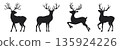 Set of black deer silhouettes with varied antlers. 135924226