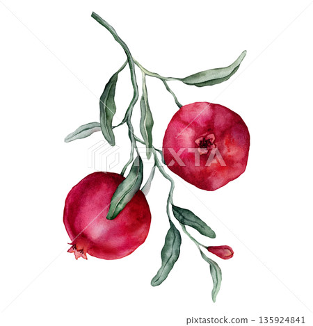 Pomegranate Fruit Branch with flower. Hand drawn watercolor illustration of red tropical Food on white isolated background. Drawing of pink red pomegranate tree with leaves. Sketch of juicy for menu. 135924841