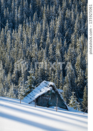 Snowy forest cabin and snow-covered tent in a remote winter landscape under pine trees 135925061