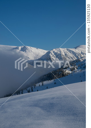 Snowy mountain ridge under a clear blue sky with fresh powder and pine trees 135925130