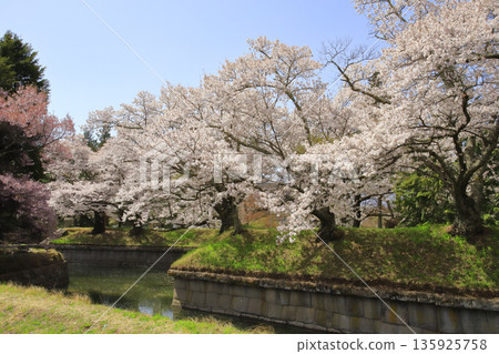 Tatsuoka城堡五棱郭 135925758