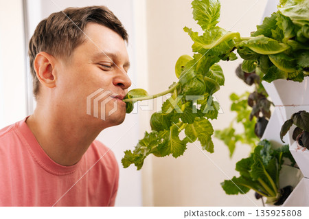 Happy young man enjoying fresh taste of homegrown organic lettuce from indoor vertical hydroponic garden, embracing sustainable urban farming and healthy eating practices at home. Happy young man enjoying fresh taste of homegrown organic lettuce from indoor vertical hydroponic garden, embracing sustainable urban farming and healthy eating practices at home. 135925808