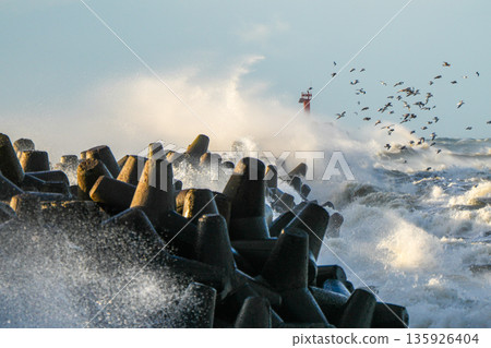 Powerful storm waves crashing on coastal breakwater with flying seabirds near Liepaja, Baltic Sea Powerful storm waves crashing on coastal breakwater with flying seabirds near Liepaja, Baltic Sea 135926404