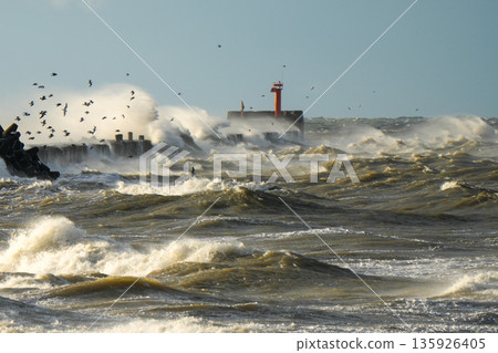Storm waves crashing at Liepaja harbor gate breakwater with seagulls over the rough Baltic Sea Storm waves crashing at Liepaja harbor gate breakwater with seagulls over the rough Baltic Sea 135926405