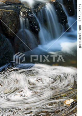 櫻花花瓣在河水中翩翩起舞 垂直漩渦 135926775