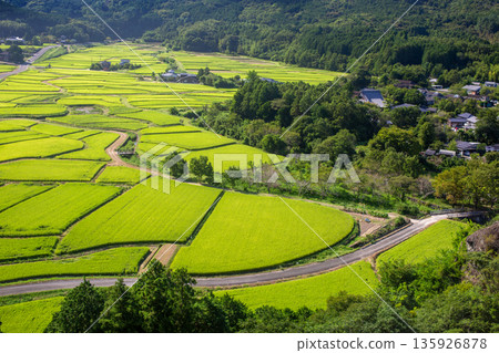 Tadameso Tadameso 135926878