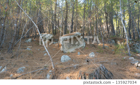 Ruins of the ancient city of Phaselis in Lycia in modern Turkey. Ruins of the ancient city of Phaselis in Lycia in modern Turkey. 135927034