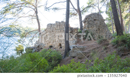 Nature of Turkey. Phaselis ancient city territory. Mediterranean sea coast. Asia Minor. 135927040