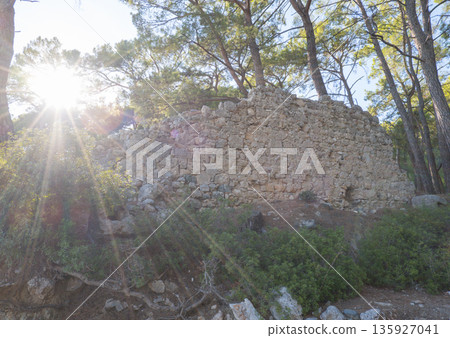 Phaselis, Ancient city, forest. Northern Necropolis is a cemetery with elaborate tombstones. Turkey 135927041