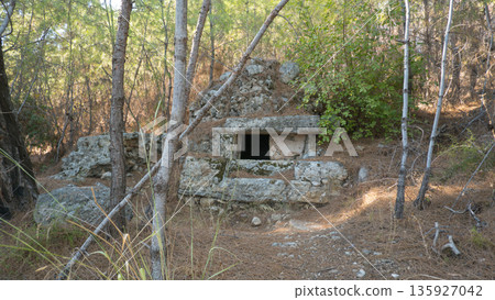 The rock tombs from ancient city Phaselis, Antalya 135927042