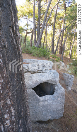 Stone Tomb in Phaselis Ancient Necropolis in Turkey. Stone Tomb in Phaselis Ancient Necropolis in Turkey. 135927059