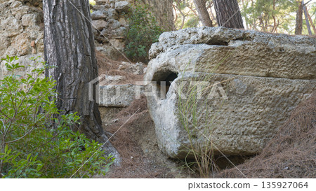 Stone Tomb in Phaselis Ancient Necropolis in Turkey. 135927064