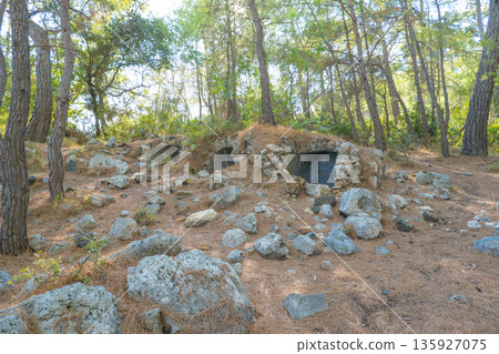 Nature of Turkey. Phaselis ancient city territory. Mediterranean sea coast. Asia Minor. 135927075