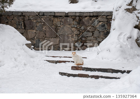 Ginger and white cat sits on snow-covered stone steps near the rock-cut walls of the Geghard Monastery, surrounded by ancient stone and winter silence 135927364