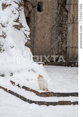 Ginger and white cat sits on snow-covered stone steps near the rock-cut walls of the Geghard Monastery, surrounded by ancient stone and winter silence Ginger and white cat sits on snow-covered stone steps near the rock-cut walls of the Geghard Monastery, surrounded by ancient stone and winter silence 135927368