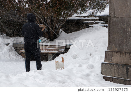 Visitor stands in snow-covered courtyard facing ginger cat near stone walls, benches at Geghard Monastery during winter snowfall 135927375