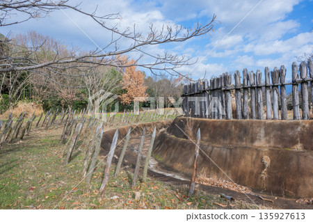 彌生風景吉野 135927613