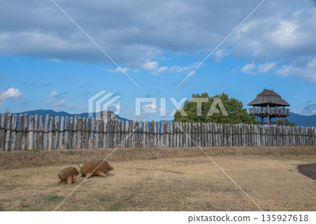 Yayoi scenery Yoshinogari Yayoi scenery Yoshinogari 135927618