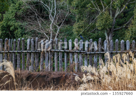 Yayoi scenery Yoshinogari 135927660