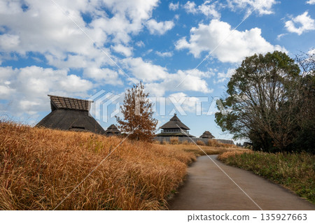 Yayoi scenery Yoshinogari Yayoi scenery Yoshinogari 135927663