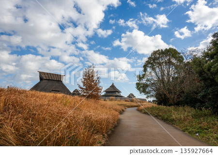彌生風景吉野 135927664