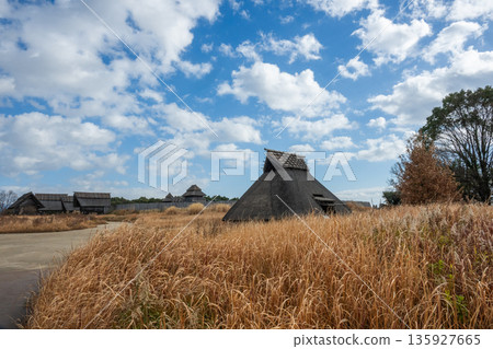 彌生風景吉野 135927665