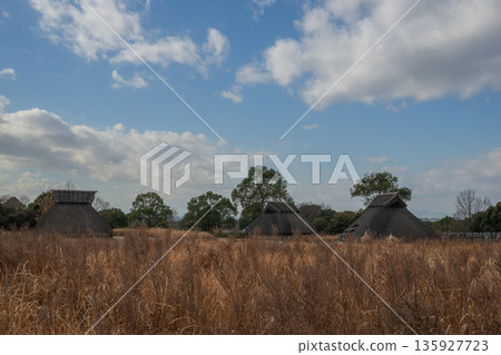 Yayoi scenery Yoshinogari 135927723