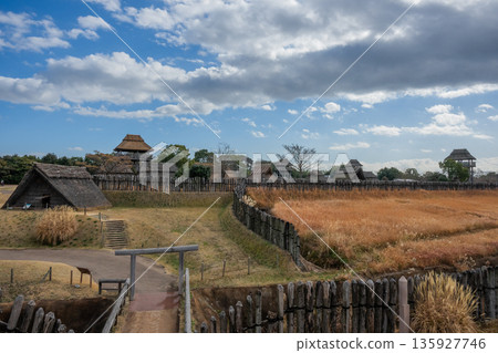 彌生風景吉野 135927746