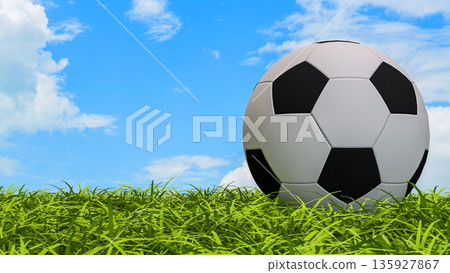 Classic Soccer Ball on Green Grass Under Blue Sky 3d render. Classic Soccer Ball on Green Grass Under Blue Sky 3d render. 135927867