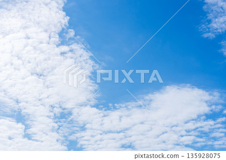 2008年秋末，抬頭仰望藍天白雲。 135928075