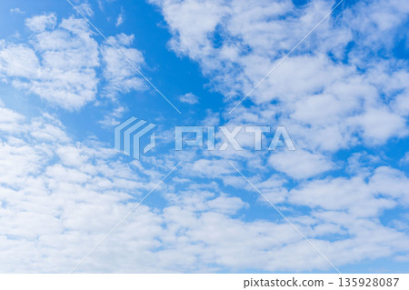 15 Looking up at the blue sky and clouds at the end of autumn 15 Looking up at the blue sky and clouds at the end of autumn 135928087