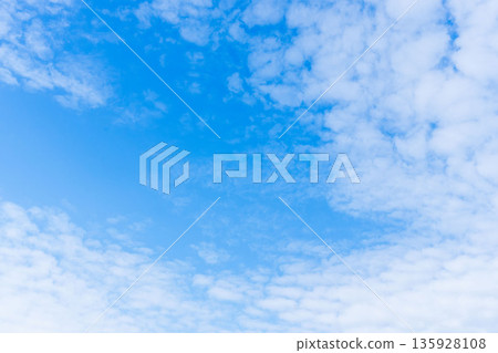 Looking up at the blue sky and clouds at the end of autumn 07 Looking up at the blue sky and clouds at the end of autumn 07 135928108