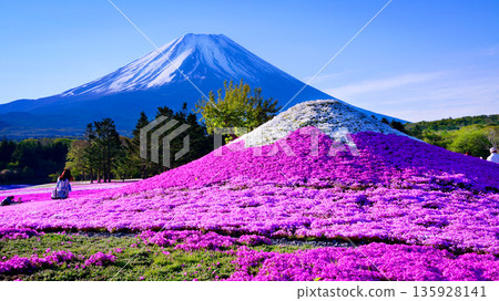 富士山和芝浦富士山 富士山和芝浦富士山 135928141