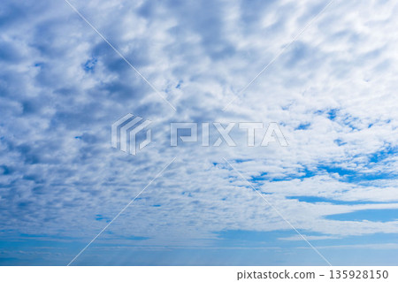 Looking up at the sky and clouds at the end of autumn 23 Looking up at the sky and clouds at the end of autumn 23 135928150