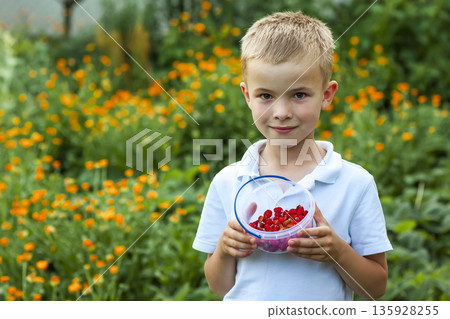 Cute little boy holding bowl with strawberries 135928255