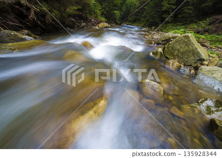 Fast flowing through wild green forest river with crystal clear smooth silky water falling from big wet stones in beautiful waterfalls on bright sunny summer day. Long exposure shot. 135928344