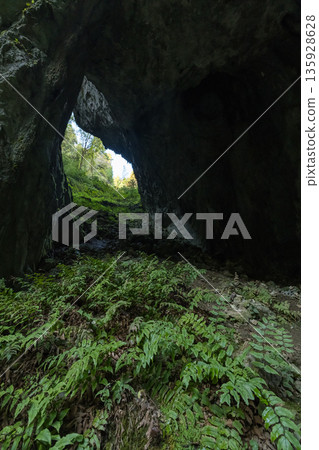位於日本岡山縣新見市草間町的羅生門第二道門，是一座巨大的天然橋樑和石灰岩洞穴。 135928628
