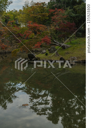Flower pond and autumn leaves in the Japanese garden of Korakuen, Kita-ku, Okayama City, Okayama Prefecture, Japan 135928800