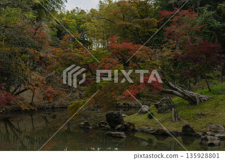 Flower pond and autumn leaves in the Japanese garden of Korakuen, Kita-ku, Okayama City, Okayama Prefecture, Japan 135928801
