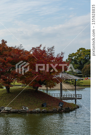 日本岡山縣岡山市北區後樂園日式庭園池塘中的漂浮島茶室與秋葉 135928835