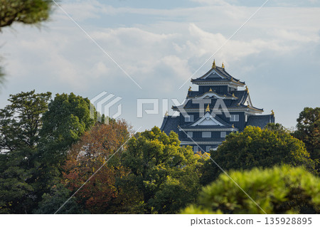 從日本岡山縣岡山市北區後樂園的日式庭園眺望岡山城 135928895