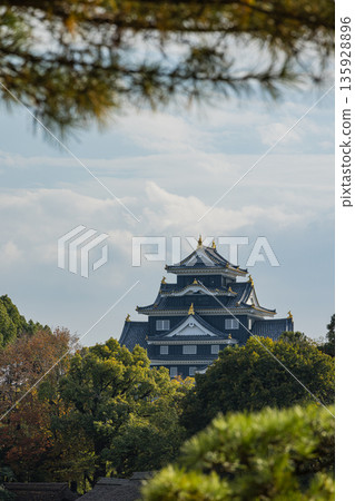 從日本岡山縣岡山市北區後樂園的日式庭園眺望岡山城 從日本岡山縣岡山市北區後樂園的日式庭園眺望岡山城 135928896