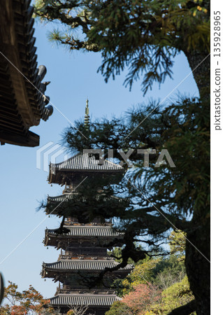 日本岡山縣總社市備中國分寺的五重塔 日本岡山縣總社市備中國分寺的五重塔 135928965