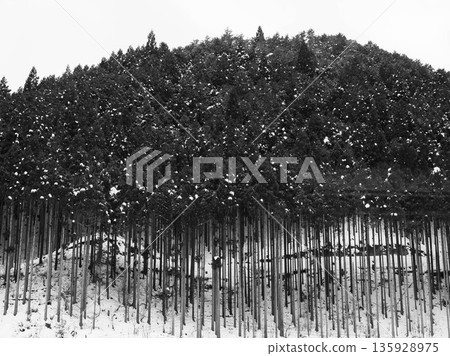 Snow scene at Chikusa Kogen Ski Resort in Shiso, Hyogo Prefecture 135928975