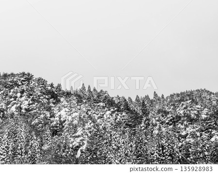 Snow scene at Chikusa Kogen Ski Resort in Shiso, Hyogo Prefecture 135928983