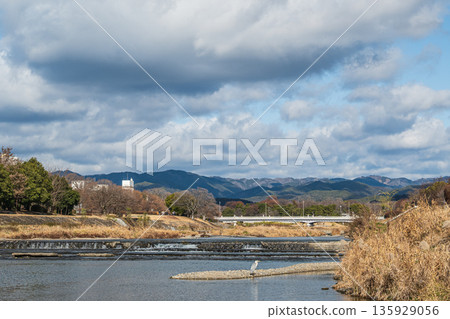 Winter scenery of the Kamo River, Kyoto City Winter scenery of the Kamo River, Kyoto City 135929056