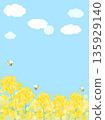 Illustration of a rapeseed flower field shining against a blue sky (vertical version) 135929140