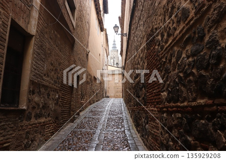 世界遺產：托萊多大教堂，古老的城市景觀，拉曼查地區，西班牙 135929208